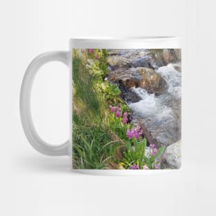 Wildflower Cascade Mug